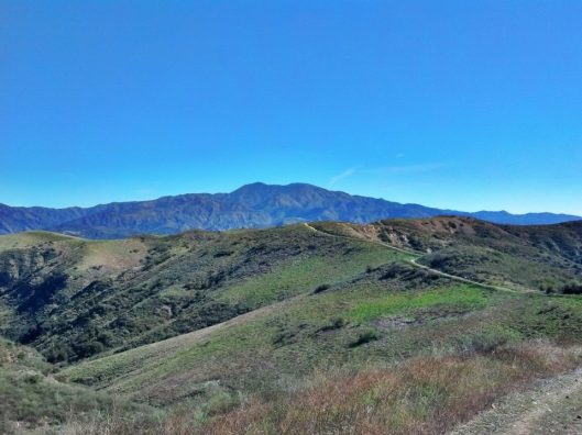 420444_3162132410135_1170079568_3149017_366898598_n