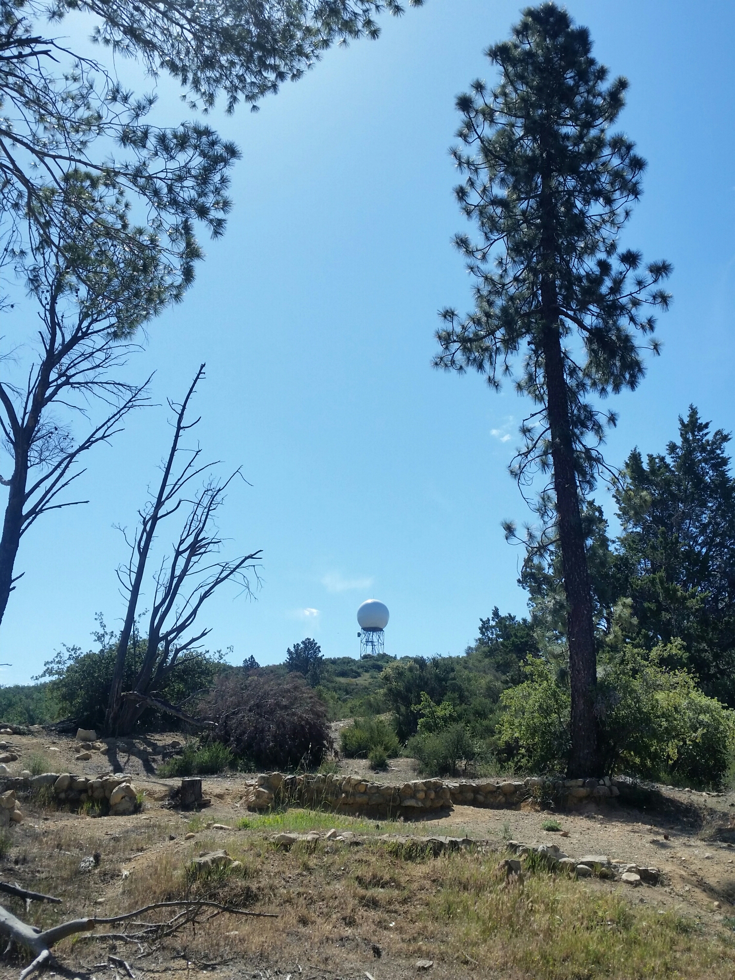 20150404_104538.jpg image