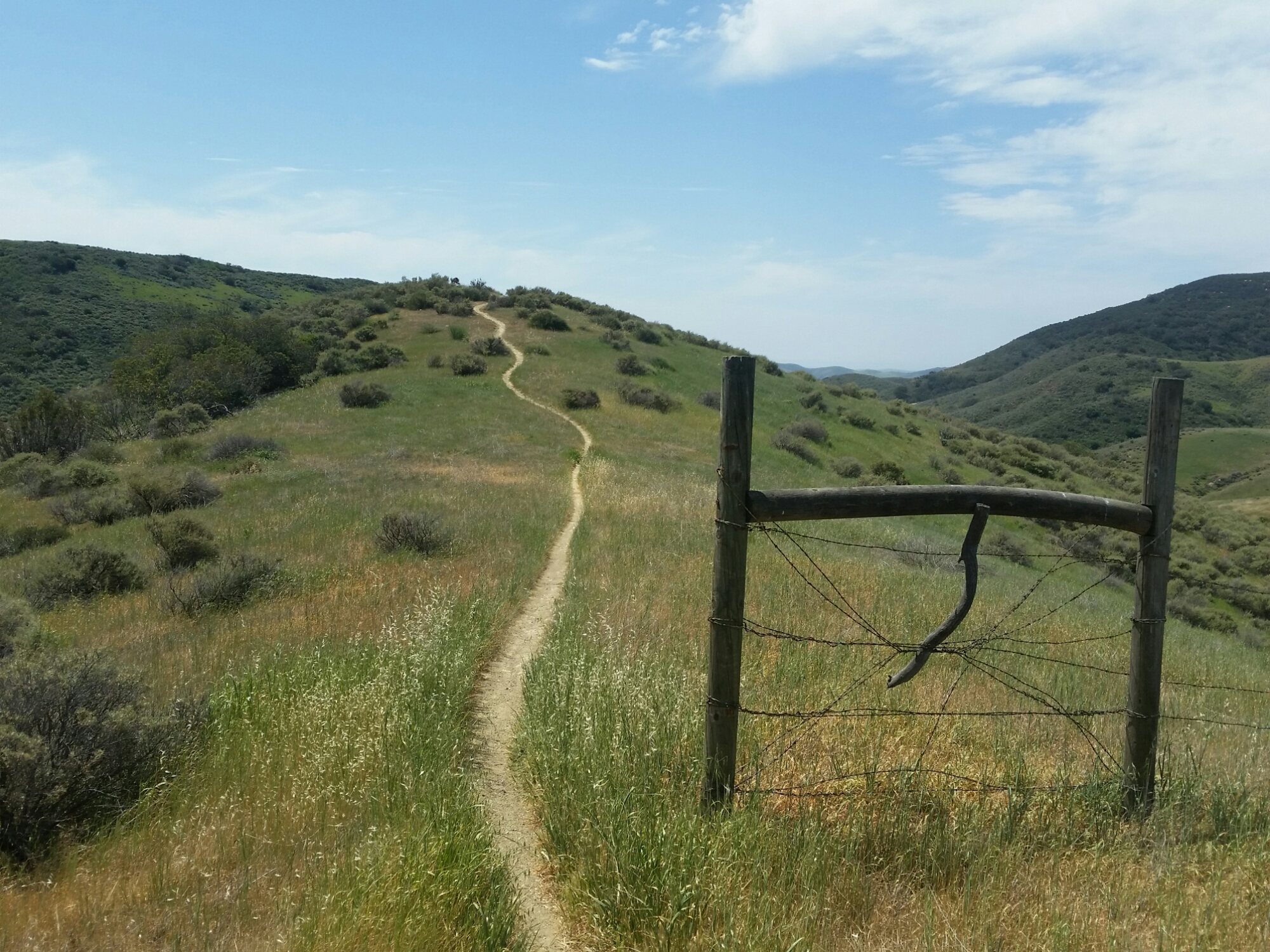 20150404_114956.jpg image