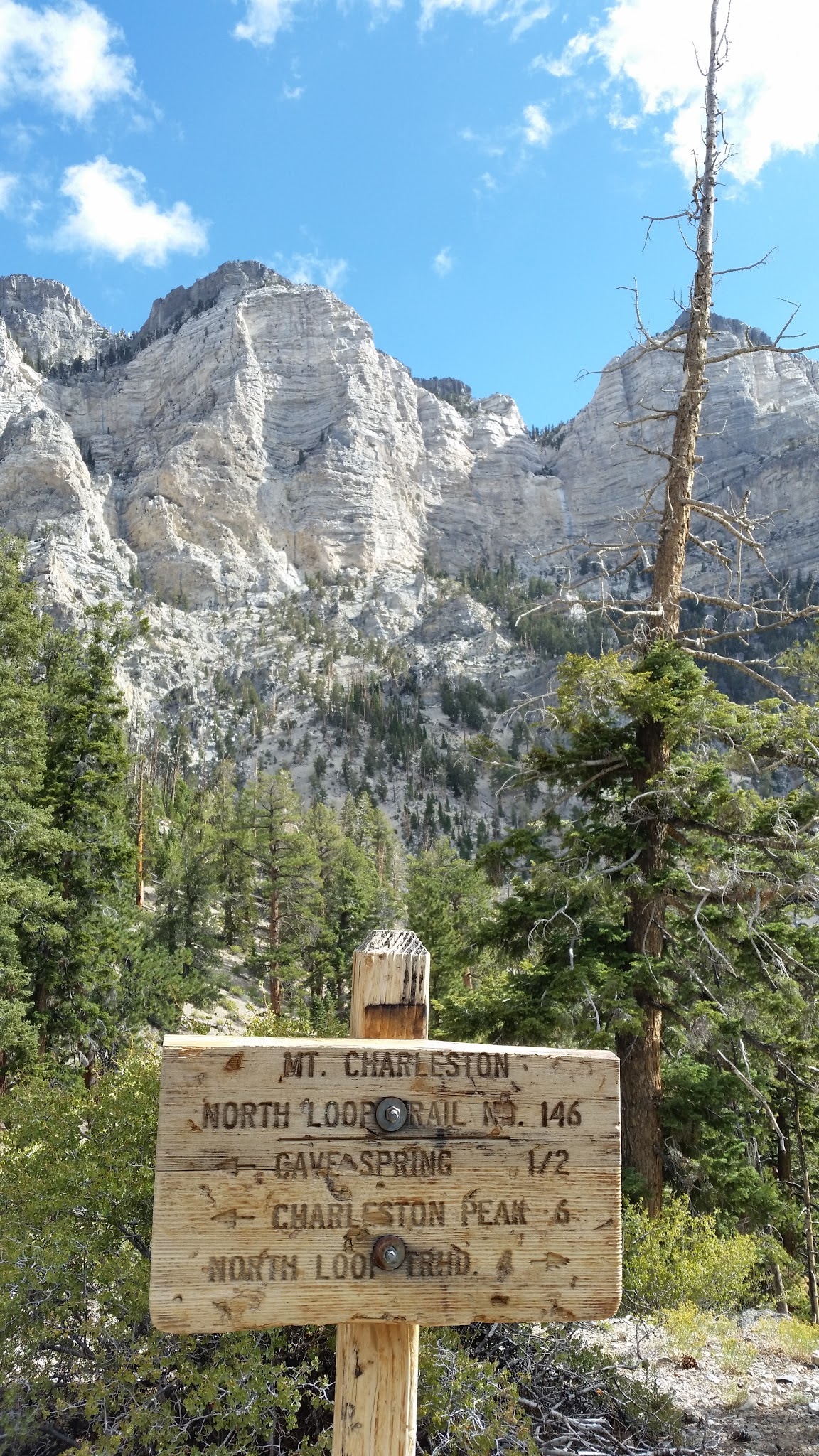 wp-1450834753151 image