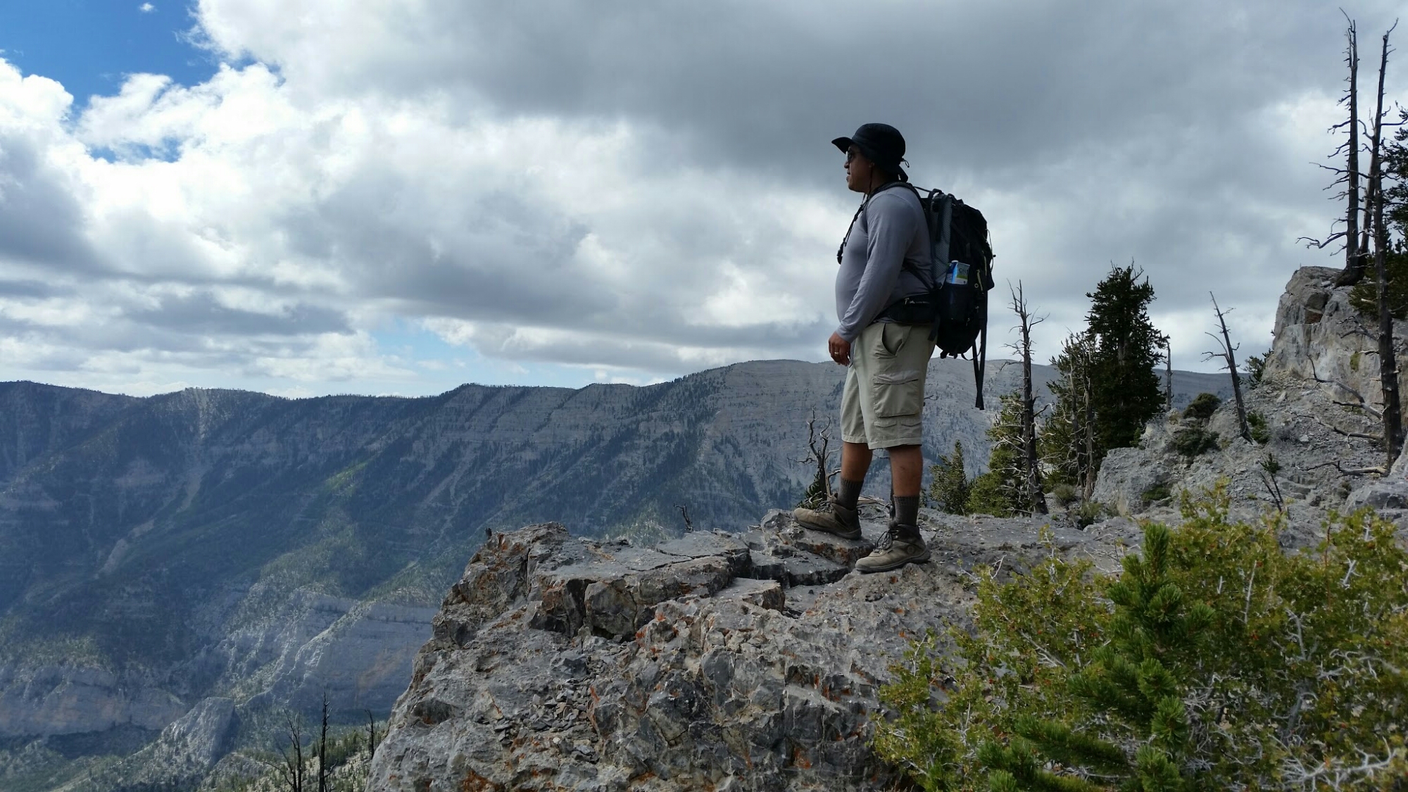 wp-1450834754114 image