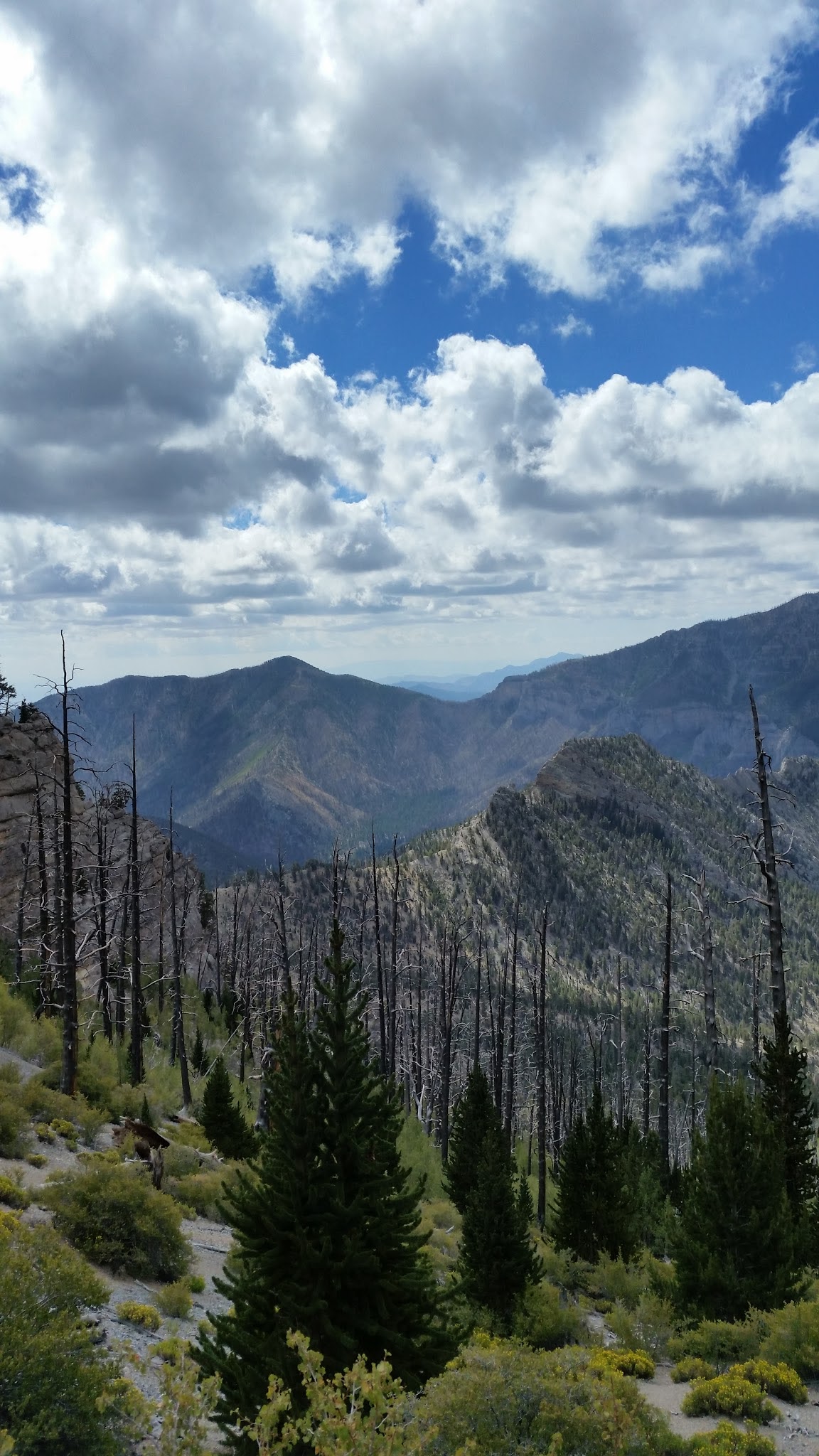 wp-1450834754666 image