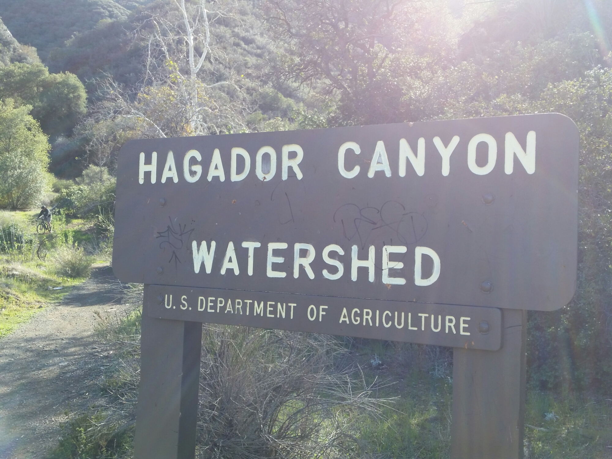 20160110_123238.jpg image