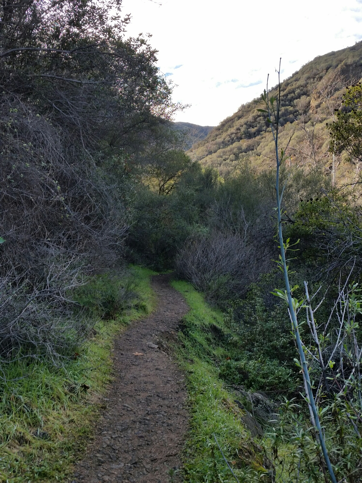 20160110_124936.jpg image