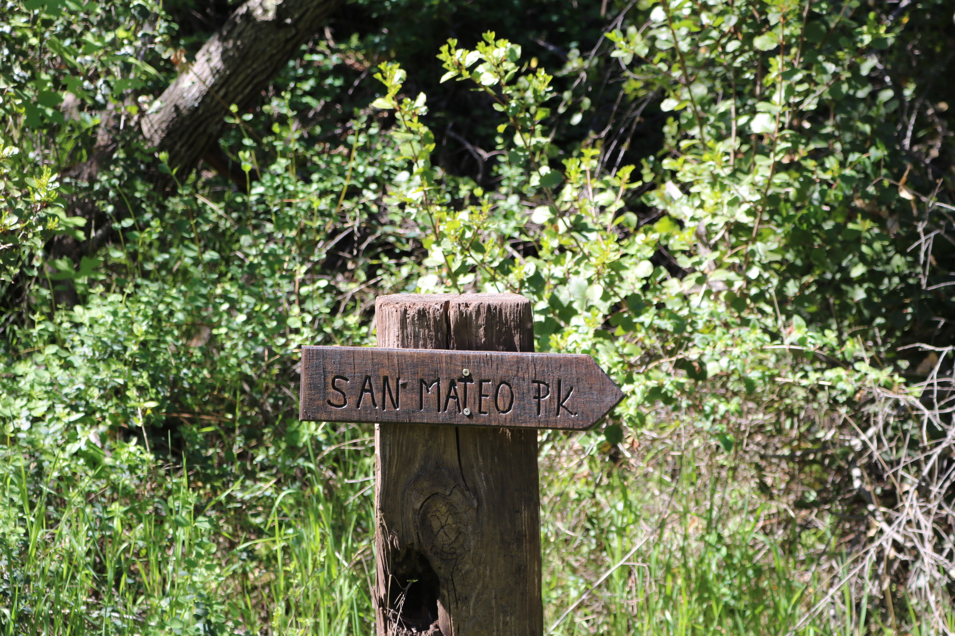 20160224102730_IMG_0961.JPG image