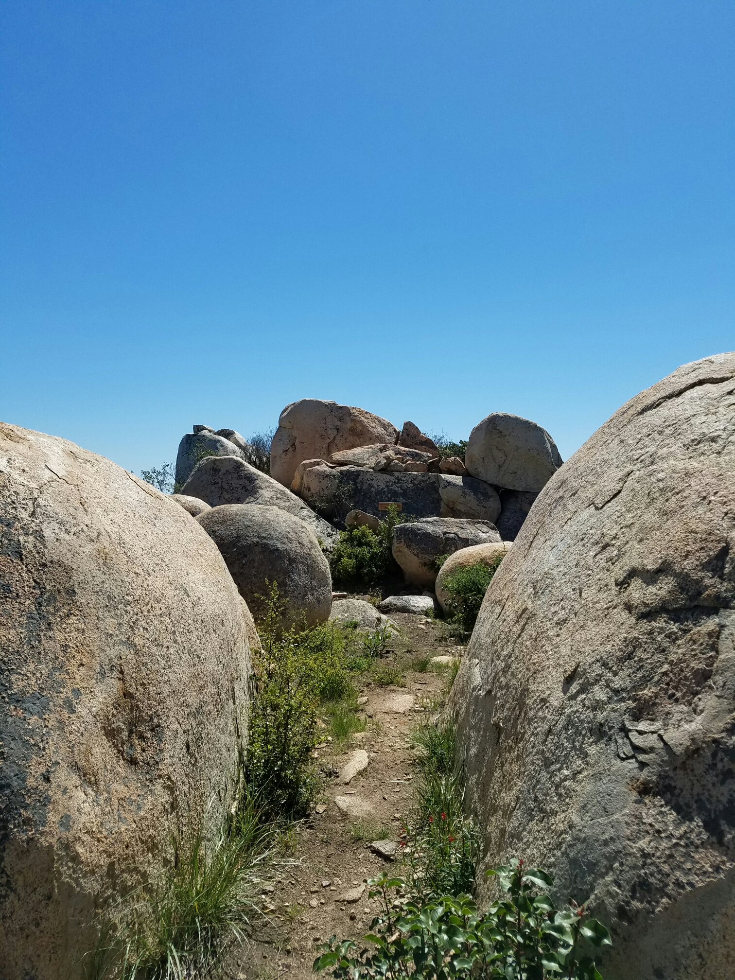 20160326_133411.jpg image