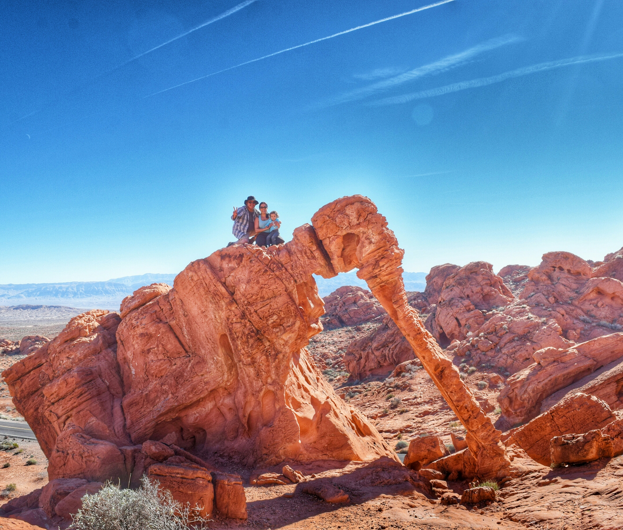 IMG_20160213_191905.jpg image